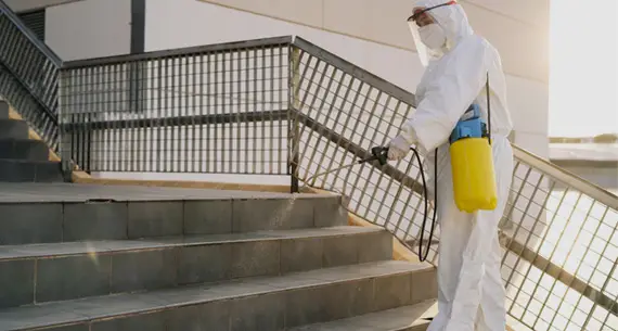 İlaçlama ve Kontrol