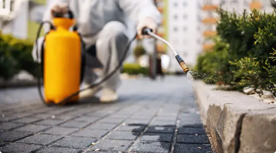 İlaçlama ve Kontrol