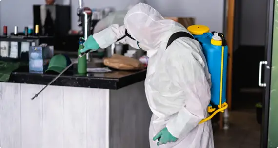 İlaçlama ve Kontrol